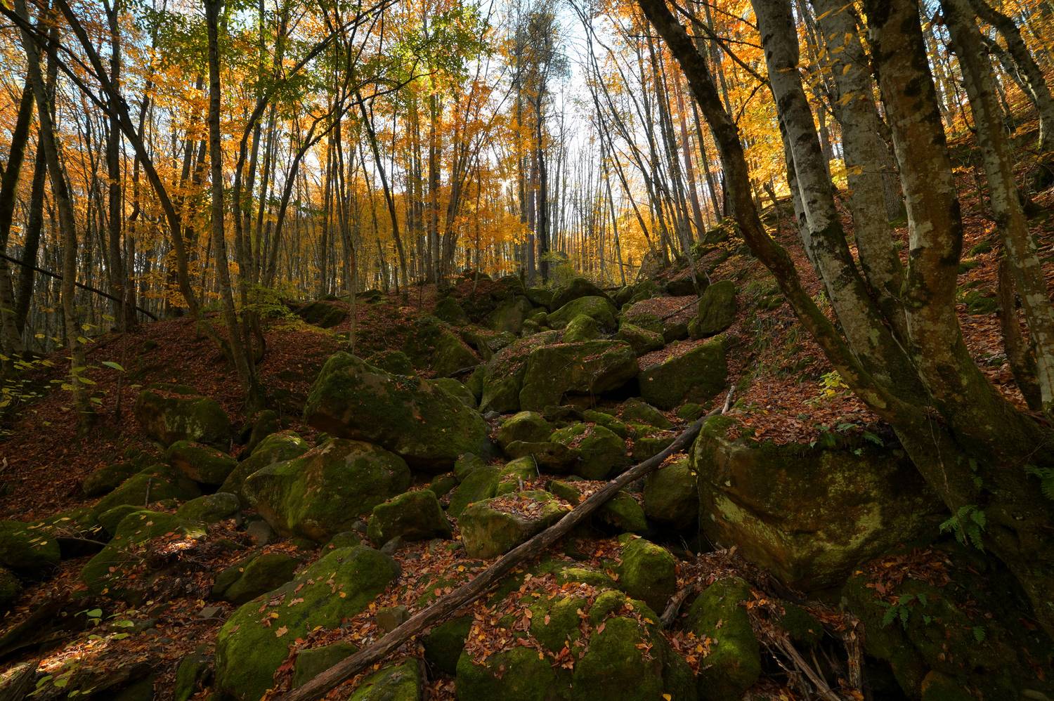 , Сергей Тихомиров