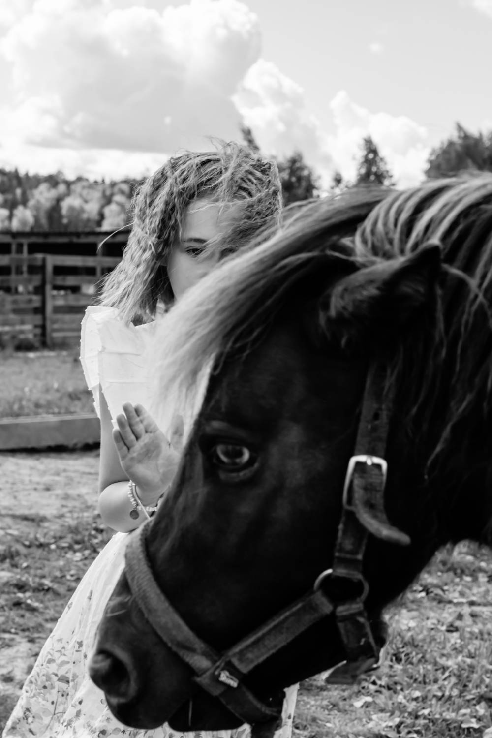 , Александр Шилов