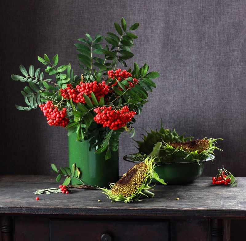 натюрморт, фотонатюрморт, still life, stillifefoto, лето, подсолнух, рябина,  ретро_натюрморт, наталья_казанцева Когда-то, в августе фото превью