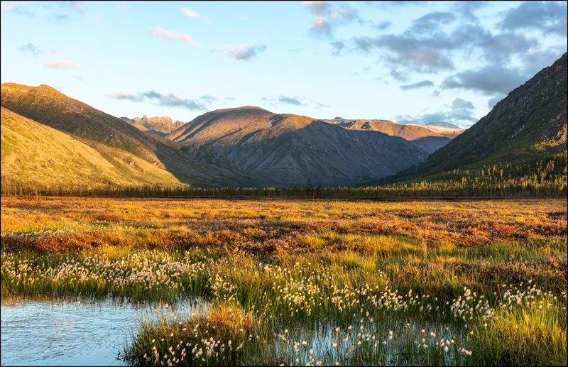 Осень на Джеке с зелёными лиственницами фото превью