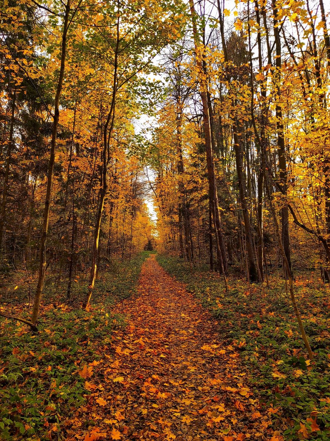 , Фото Александр