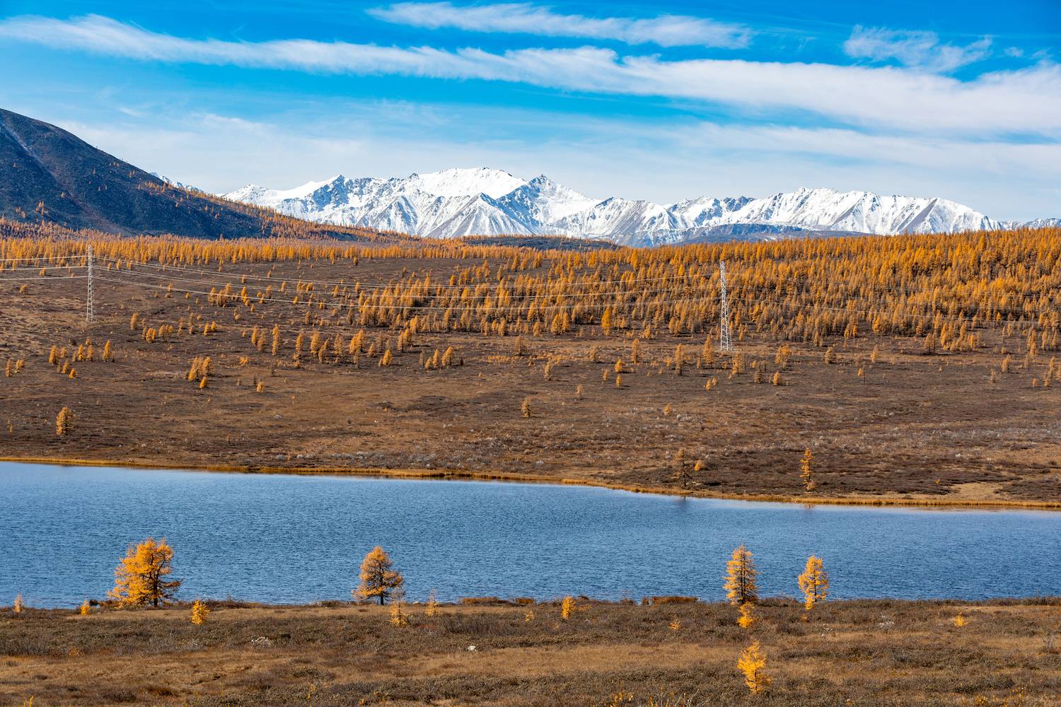 , Буянов Илья