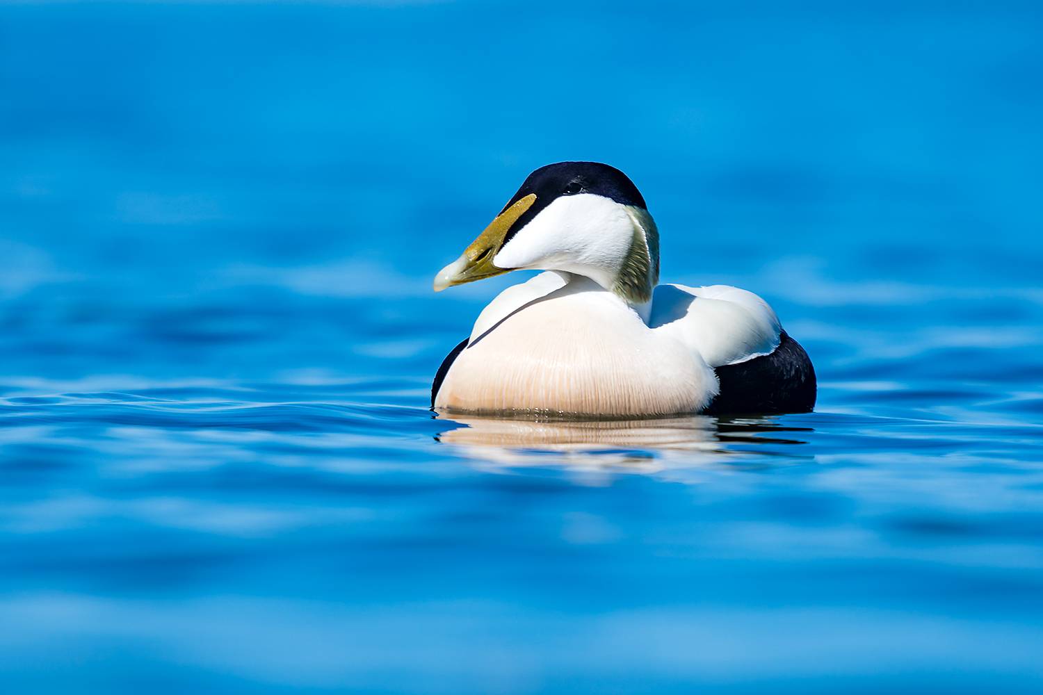 , Абросимов Александр