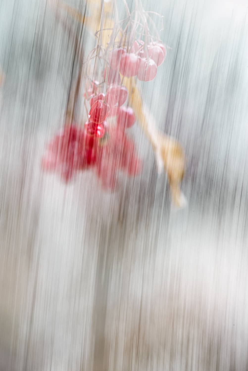 icm, мультиэкспозиция, Неля Рачкова