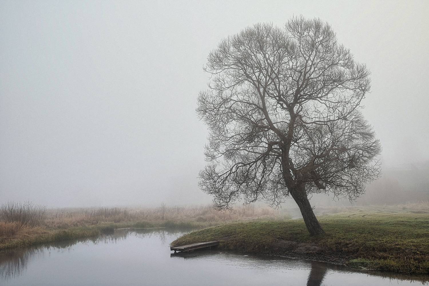 , Евгений Ерохин