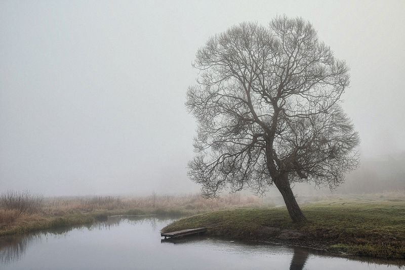 * фото превью