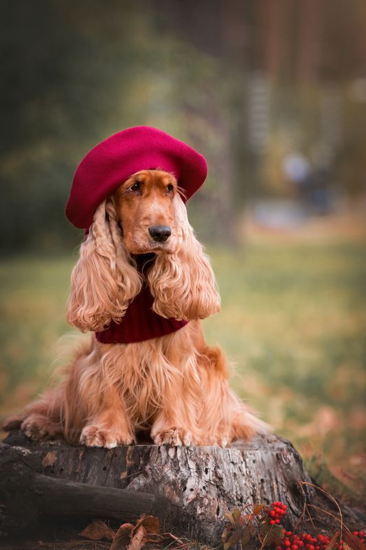 Осенний показ мод фото превью