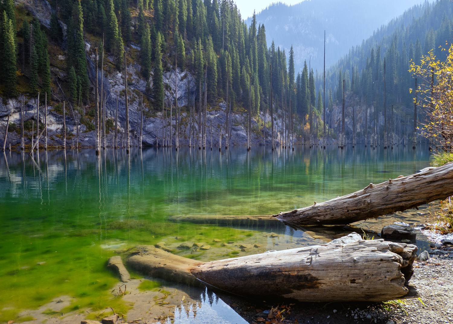, Андрей Хаймин