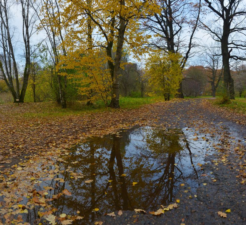 Про осень фото превью