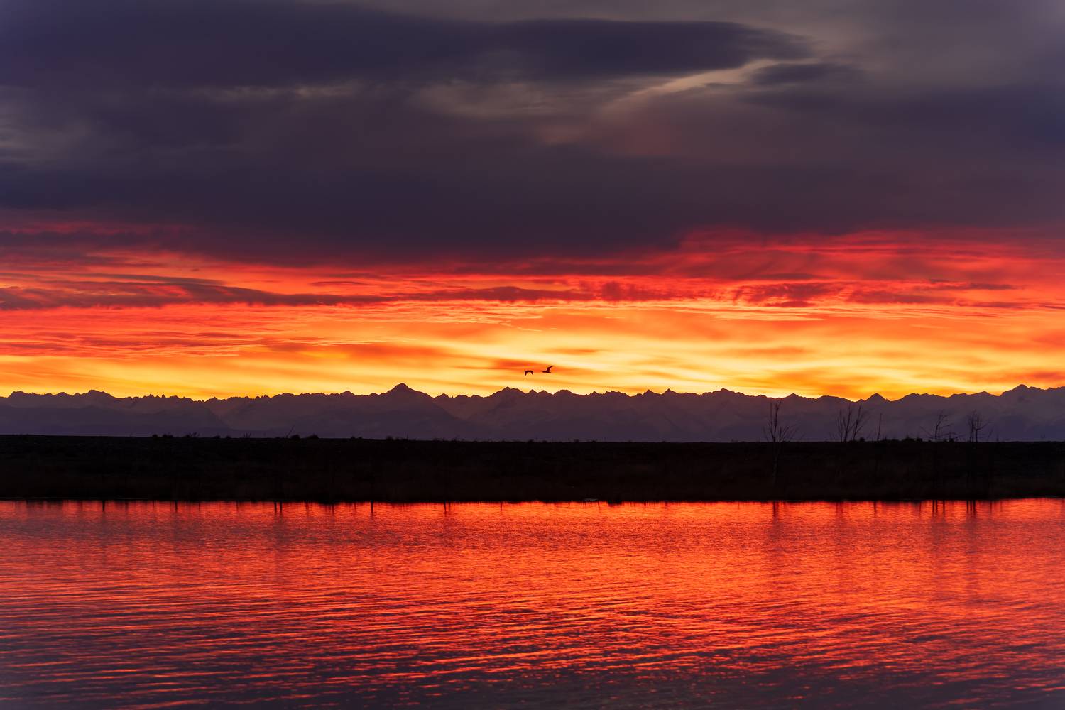 , Екатерина Дубровская