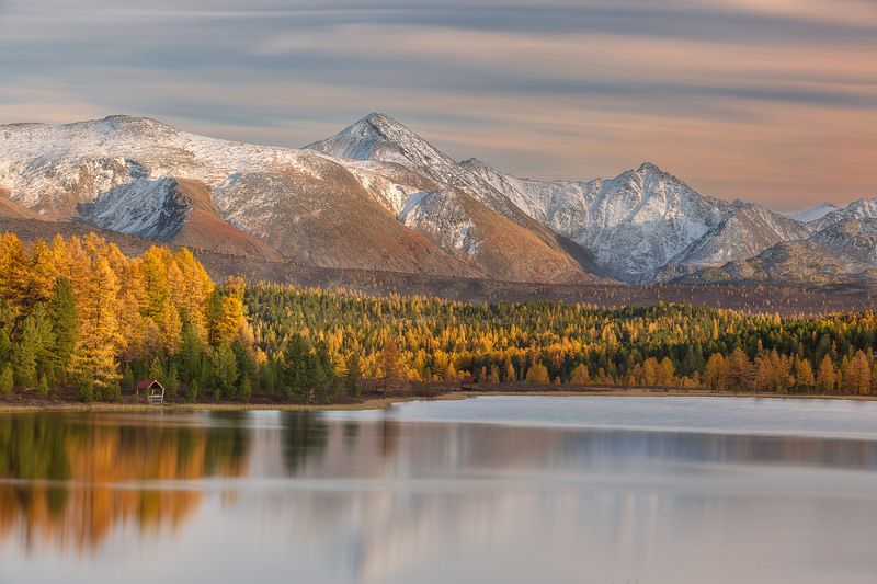 Киделю фото превью