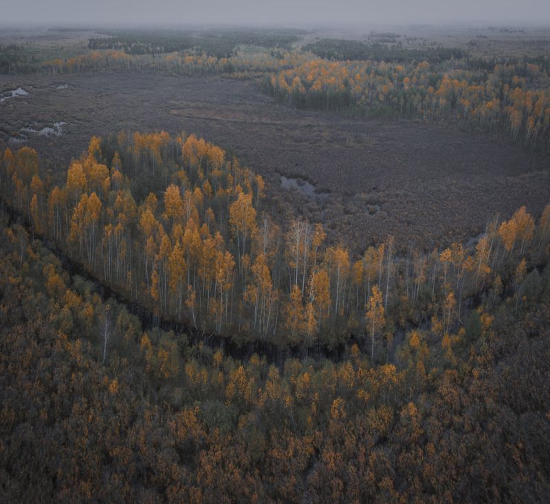 Осень на болотах Мещеры фото превью