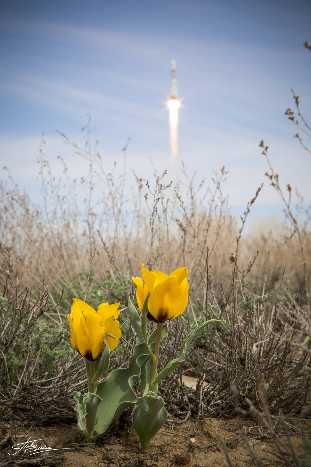 , Швец Павел