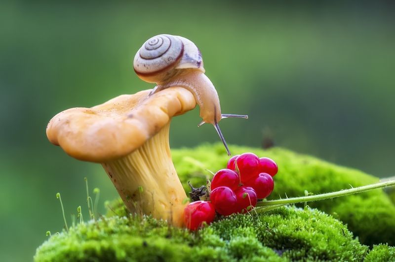 Находка фото превью