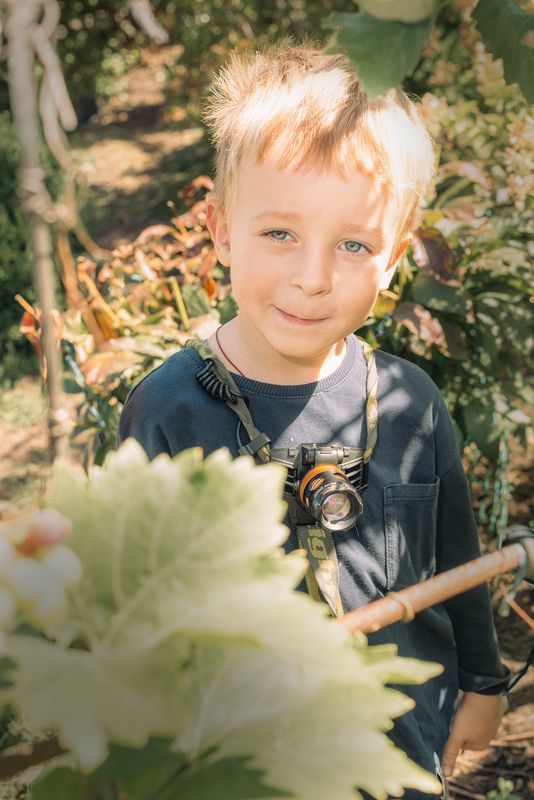 фото превью