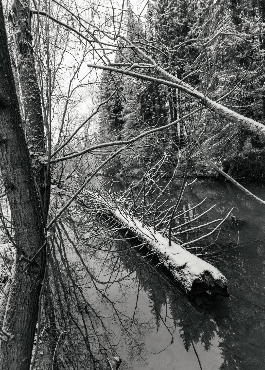 , Федотов Сергей