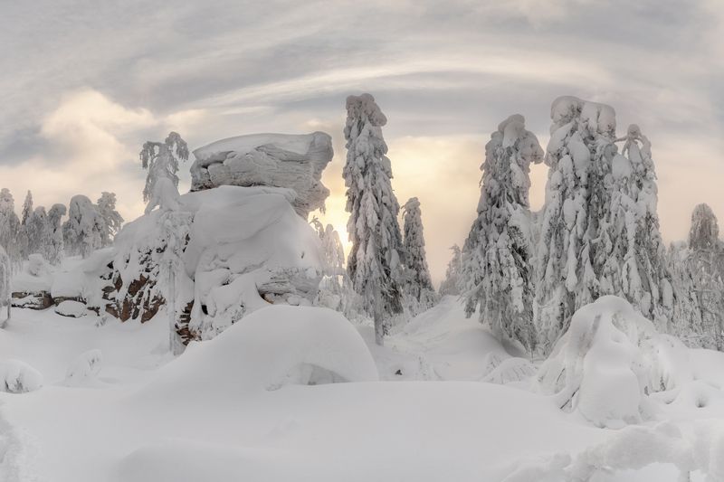 Ледяные стражи фото превью