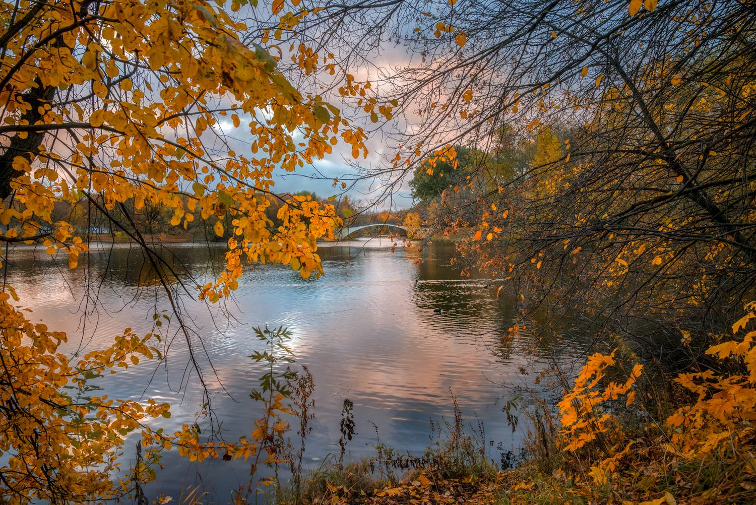 , Сережин Сережа