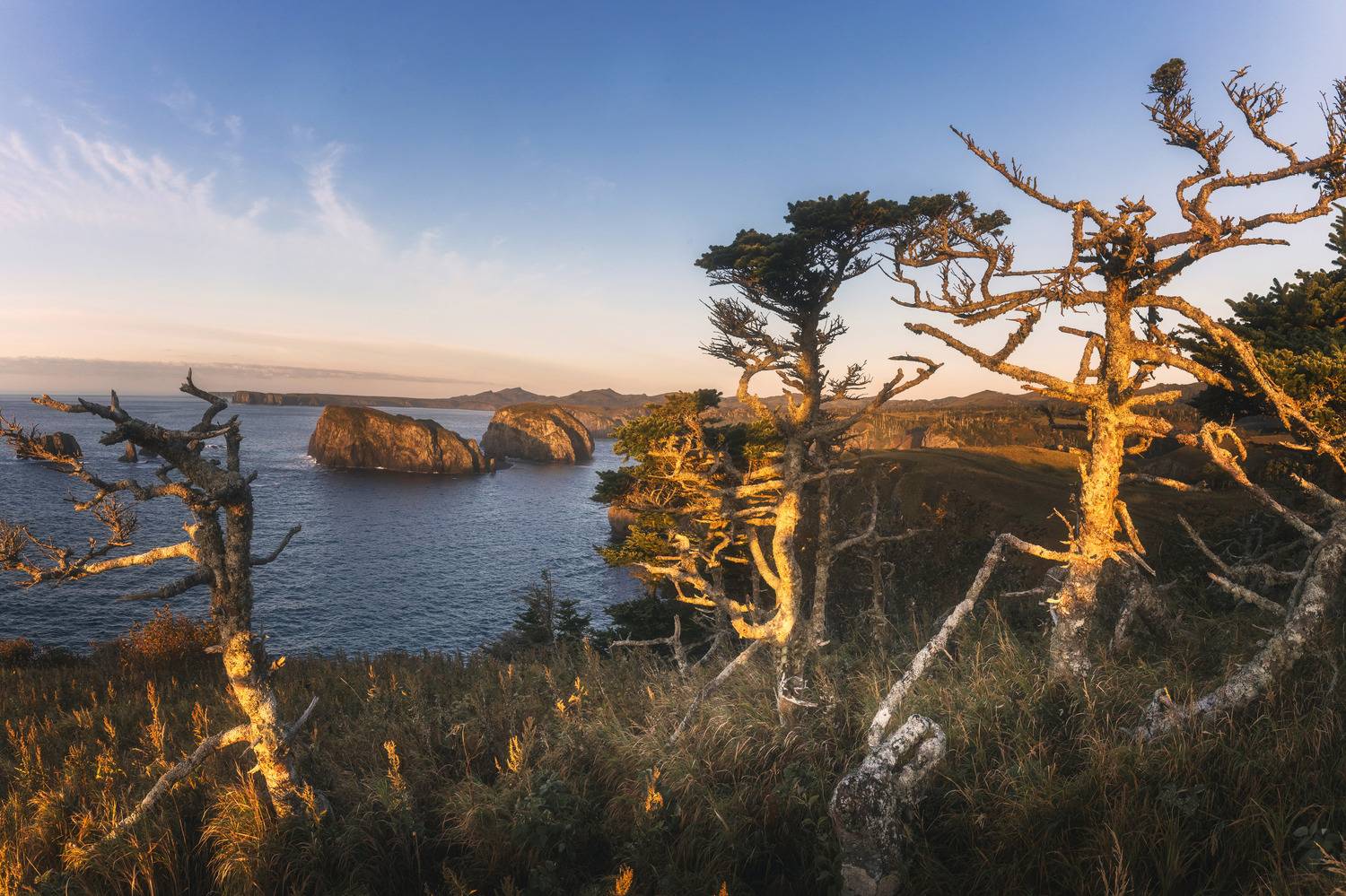 , Грамаков Юрий