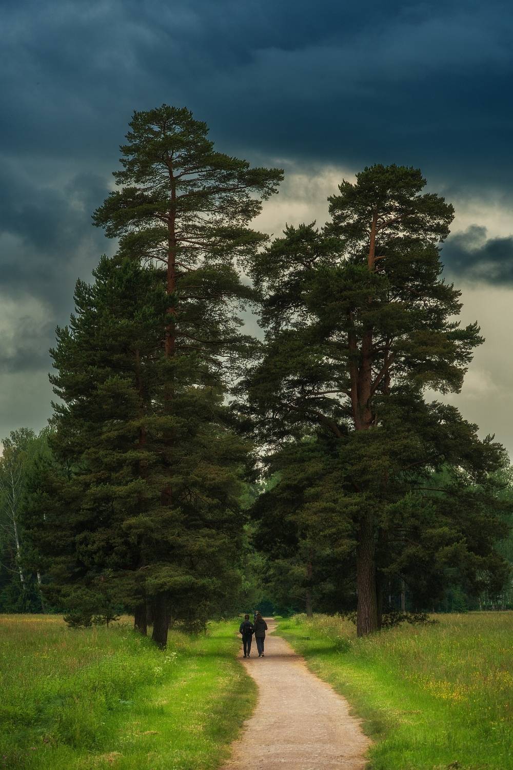 павловский_парк, Васин Сергей