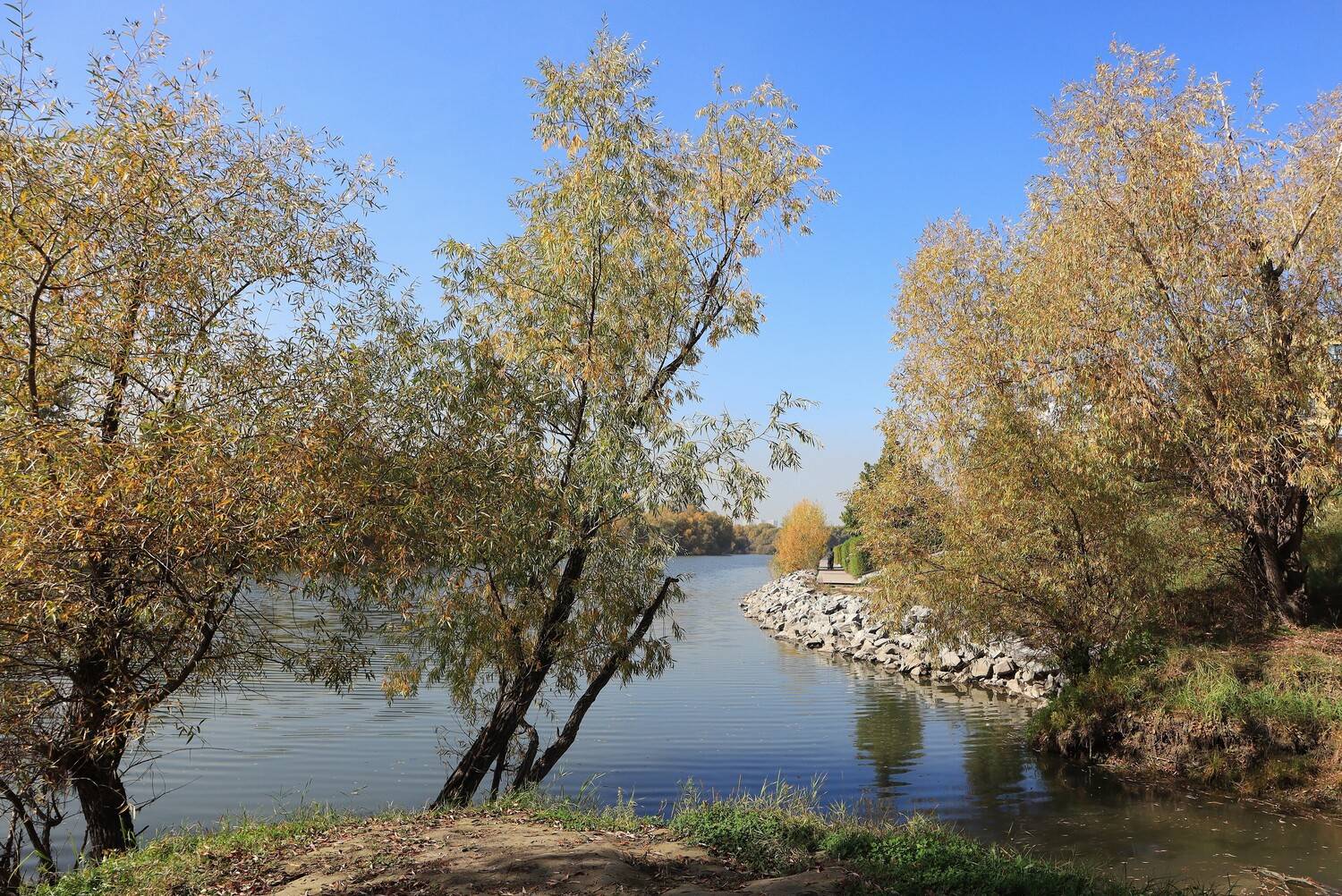 пейзаж,осень,река,деревья,природа, Козлова Галина