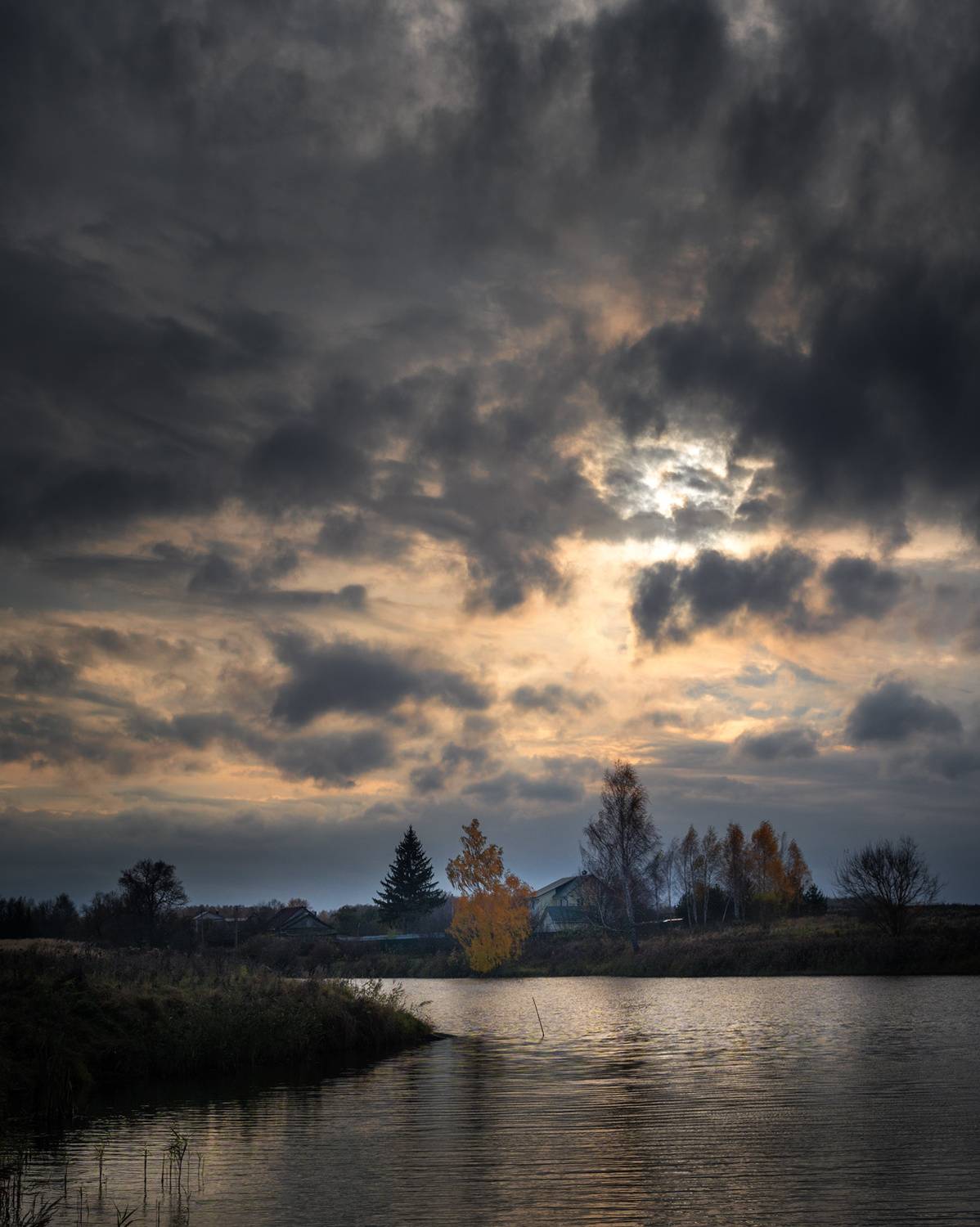 река, свет, день, природа, тульская обл., Баранов Олег