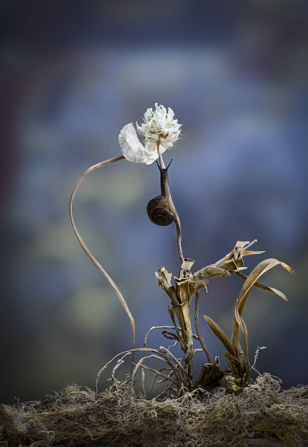 , Валентин Черновол