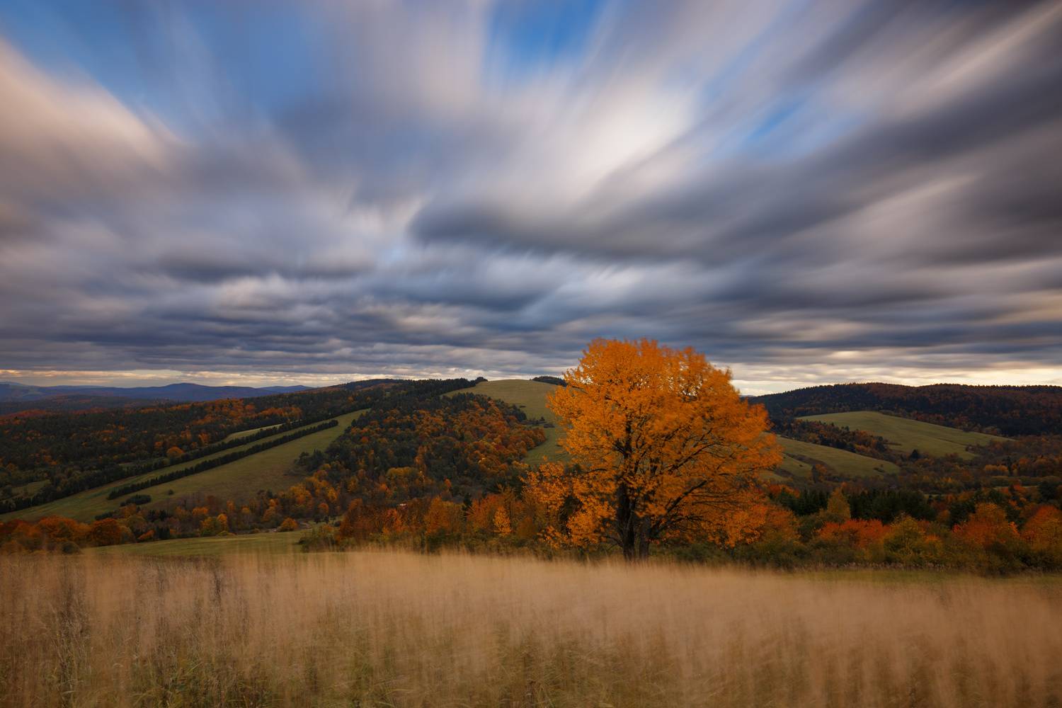 ,  Mirosław Pruchnicki