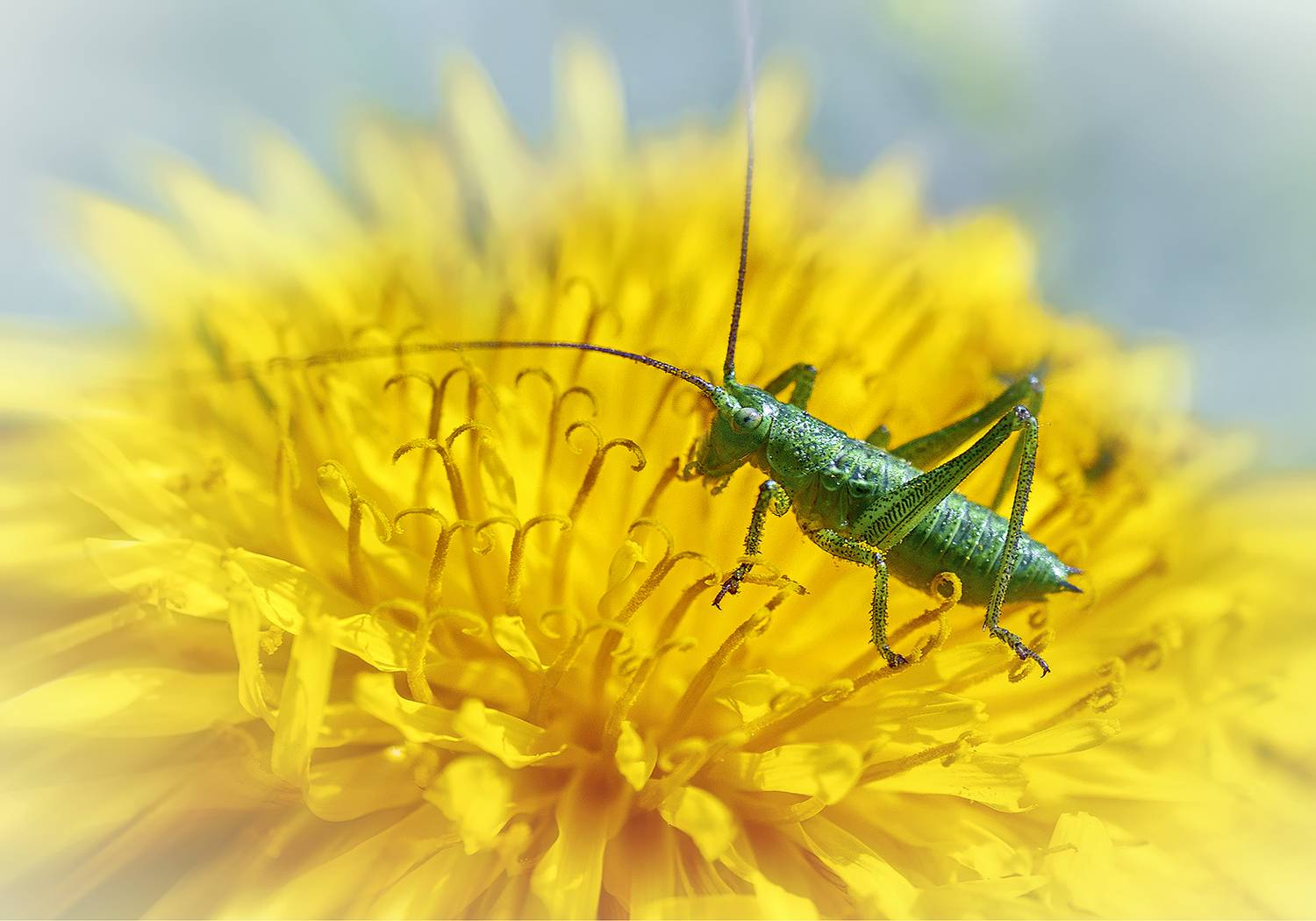 , Сергей Аникин
