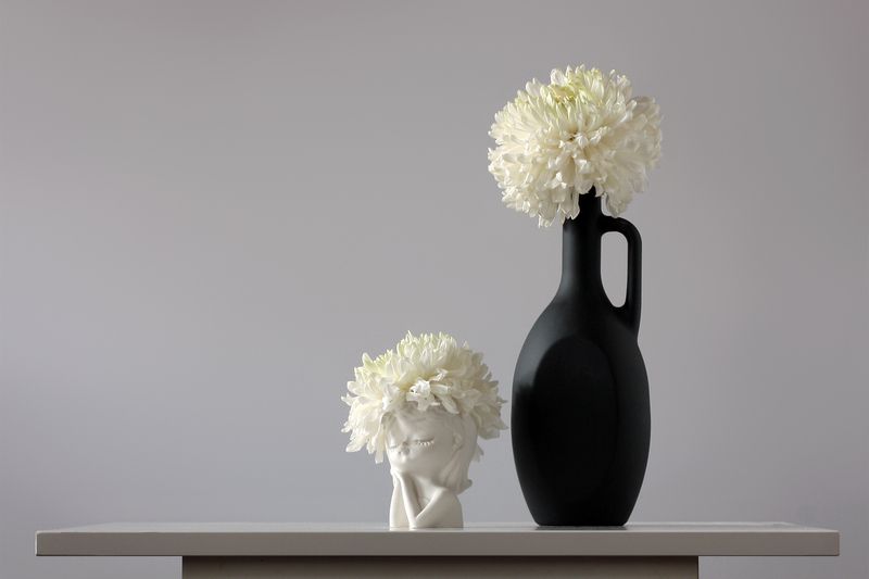 белые хризантемы Осенний сон фото превью