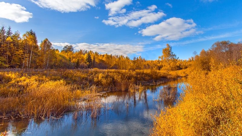 Костромской край. фото превью