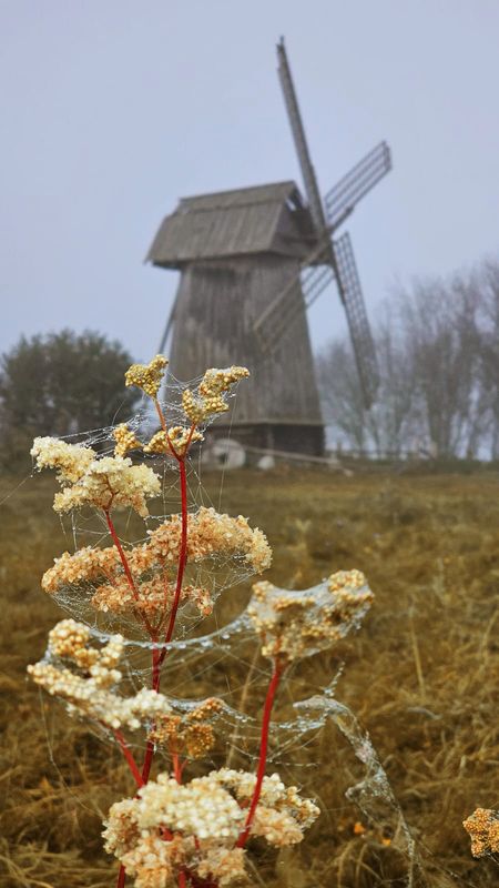 уж небо осенью дышало...  фото превью