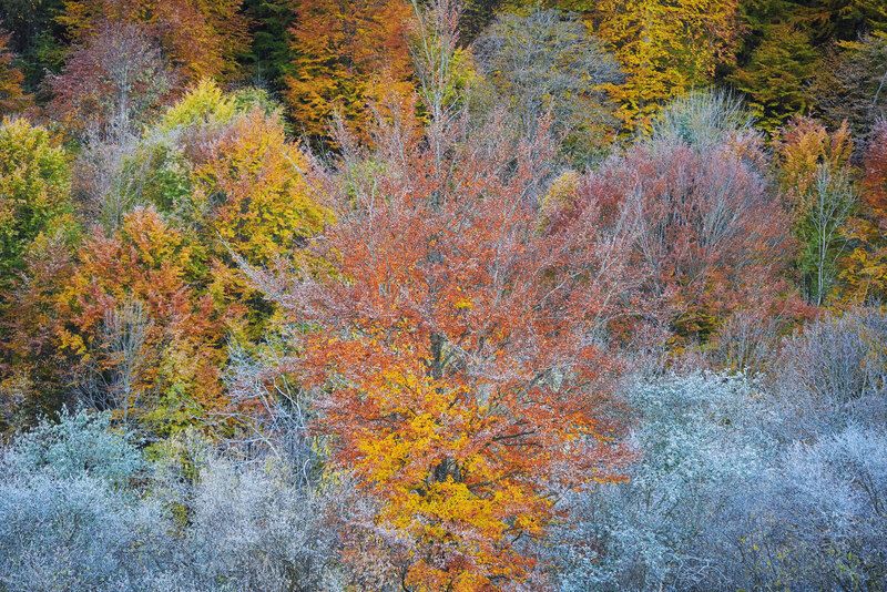 2025 фото превью
