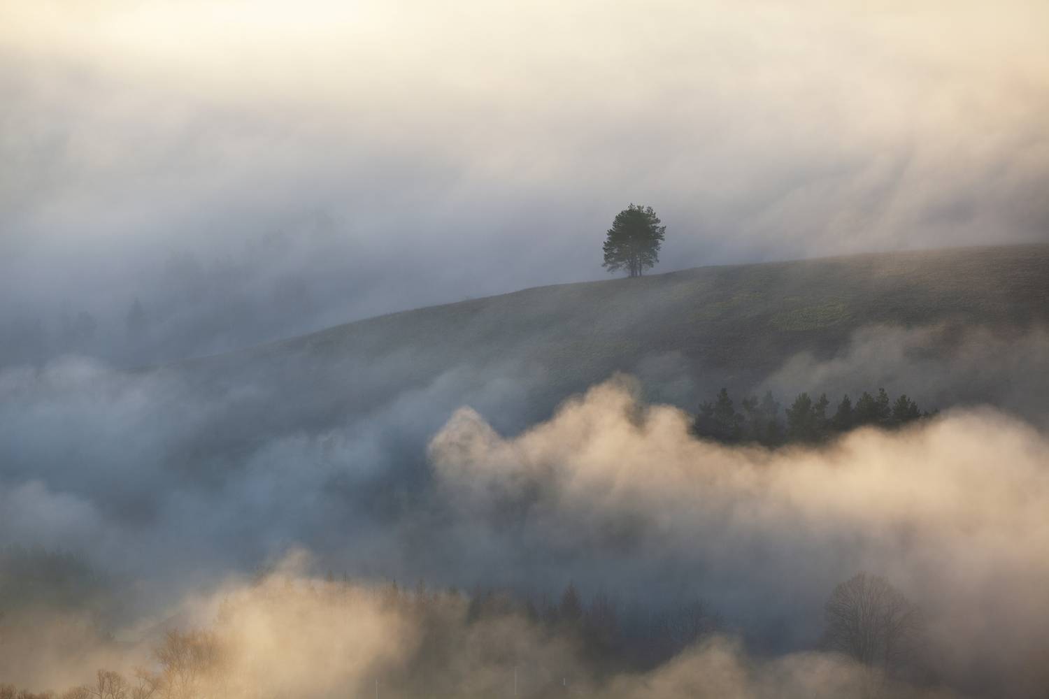 ,  Mirosław Pruchnicki