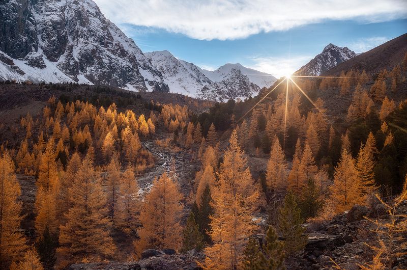 алтай, горы, осень, актру  фото превью