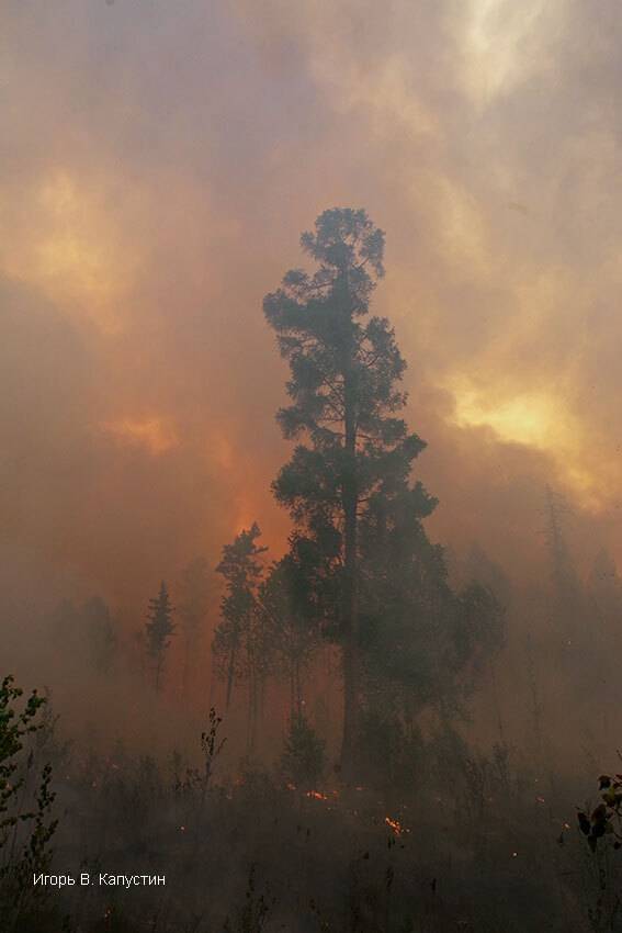 , Капустин Игорь