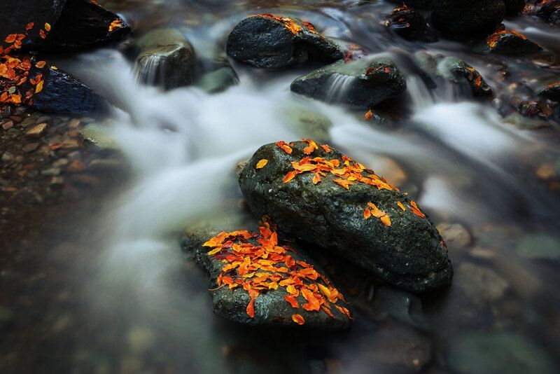 2025 фото превью