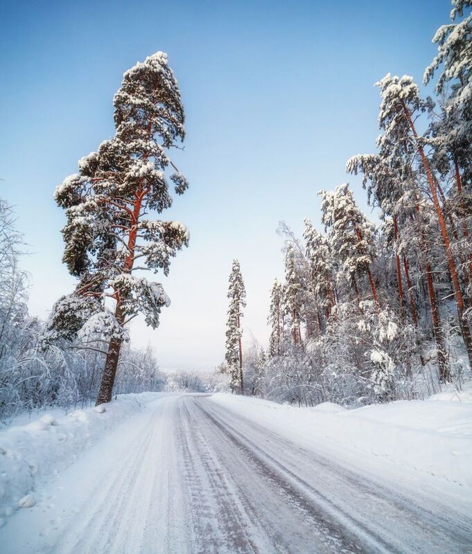 лес, зима, дорога, сосны В ожидании зимы фото превью