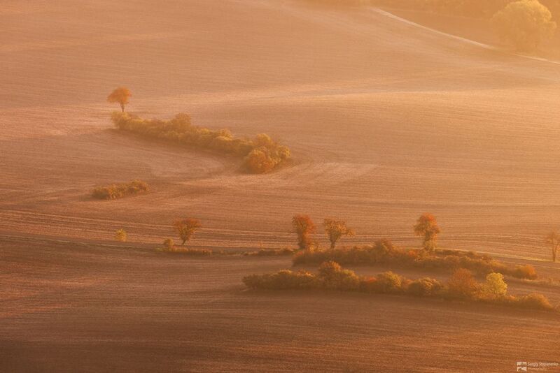 Ghostly Distances фото превью