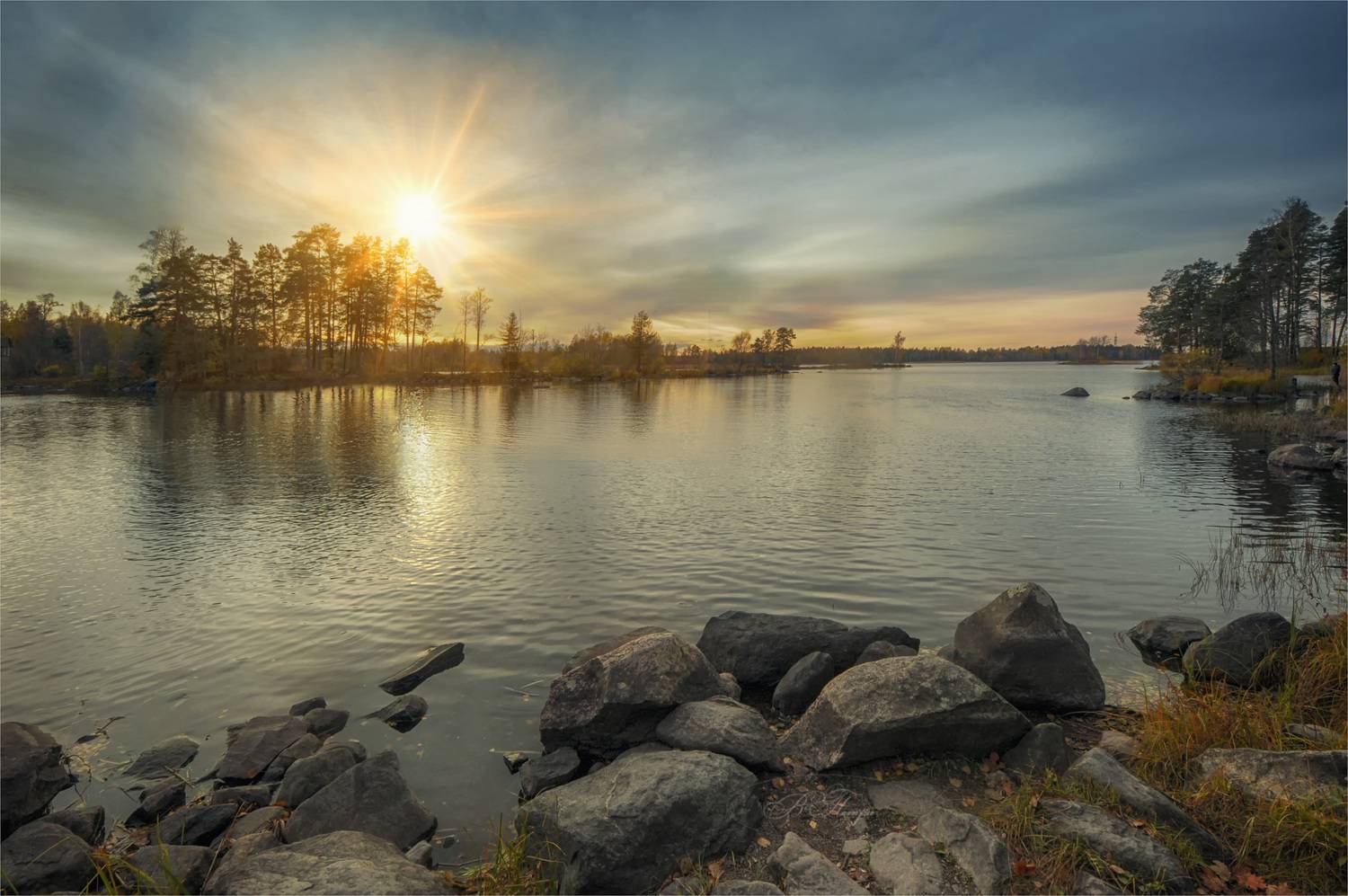 река камни деревья солнце, Вера Петри