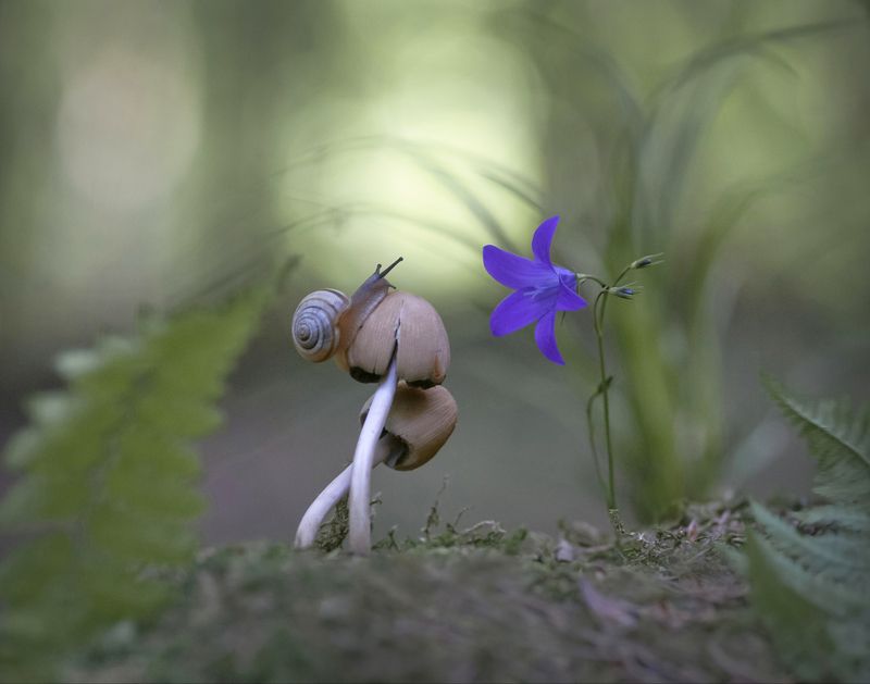 Уметь слышать, касаться сердцем... фото превью