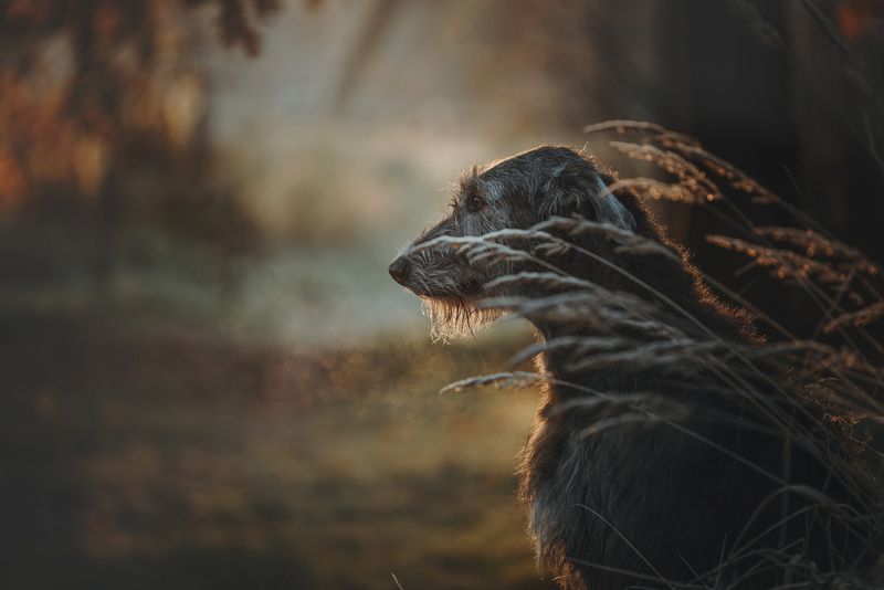 Октябрь фото превью