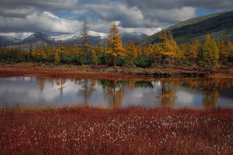 Озеро_Юг пейзажи_Колымы Магаданская_область Колымские_пляжи горная_система_Черского отражения хребет_Оханджа Окрестности Юга фото превью
