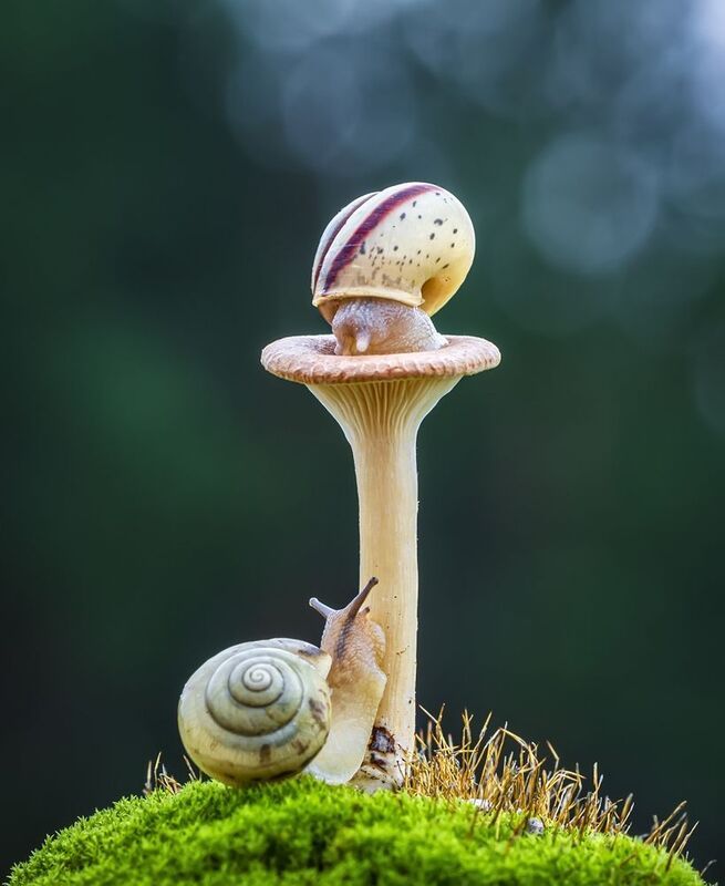 Игра в прятки фото превью