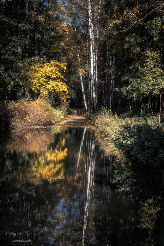осень, осенний пейзаж, парки, контрасты осени Контрасты осени фото превью