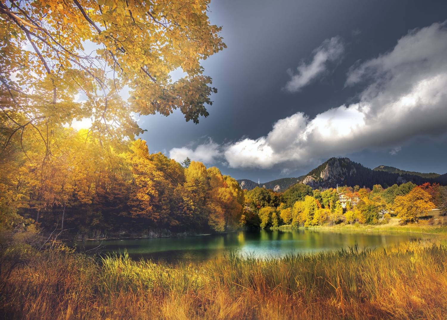 , Бобчева Веселина