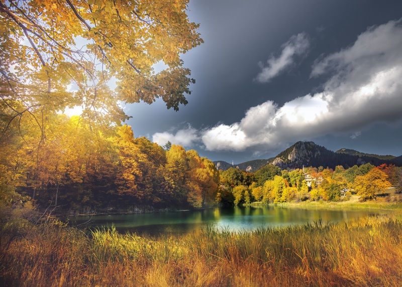 autumn pause фото превью