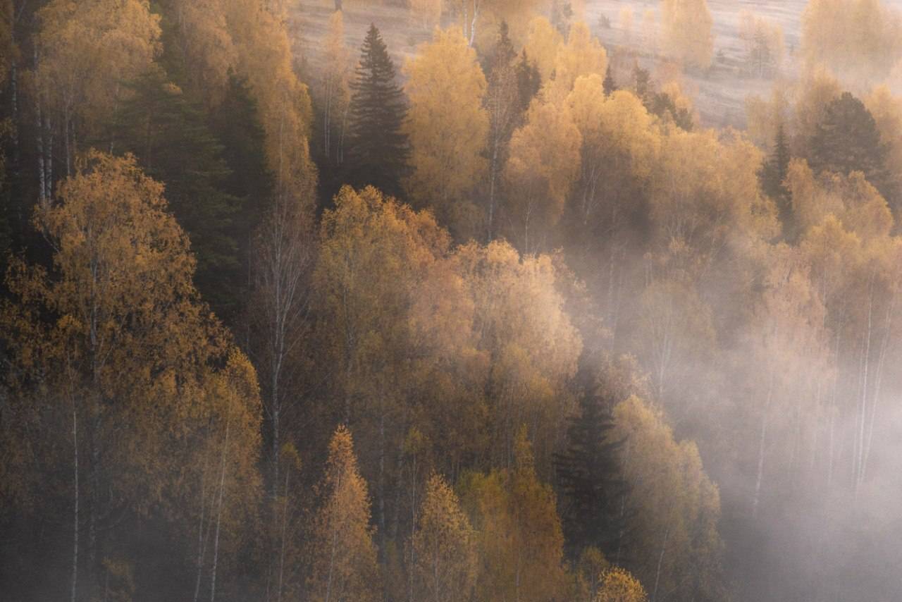 , Малыгин Андрей