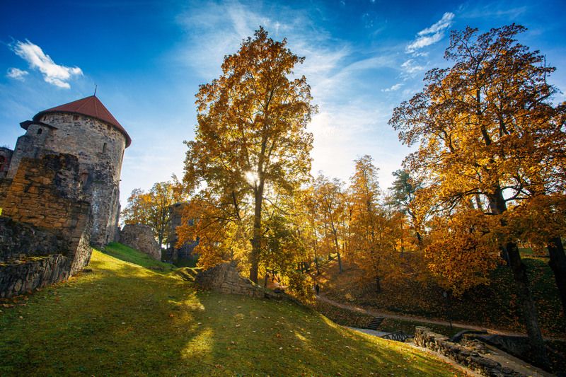 Cesis фото превью