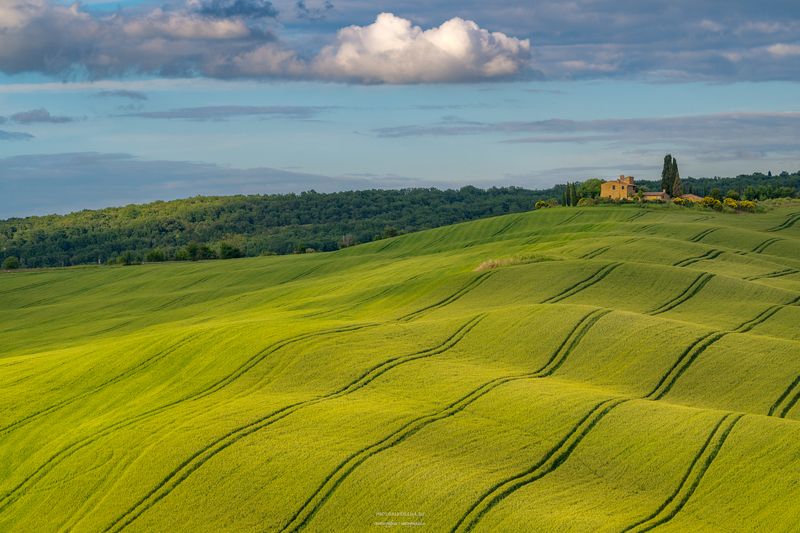 италия, тоскана, пейзаж Покрывало фото превью